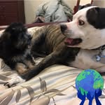 Jan Porter Byers - @janbyers_ - Instagram