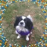 Janet Bynum - @janet_bynum - Instagram