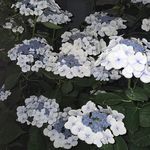 Jan Calhoun Winand - @janwinand - Instagram