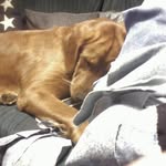 Jan Cameron - @jancameron2000 - Instagram