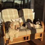 Jan Cameron - @jan.cameron.9066 - Instagram