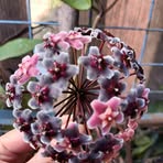 Jan Cameron - Facebook