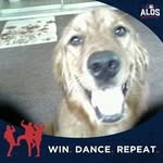 Jan Cameron - @slepywielbicielkielbasy - Instagram
