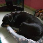 Jan Cartwright - @janc3842 - Instagram