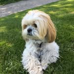 Jan Case - @jancase66 - Instagram