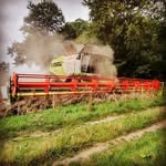 lw._jan - @jan_.case - Instagram