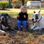 Jan Cates - @gr8danemom5 - Instagram