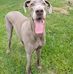 Janet Cates - Facebook