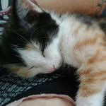 cat magill - @catlin_jane - Instagram