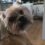 Jan Cawley - @janice.cawley - Instagram