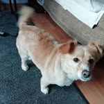 Jan - @jancawley3 - Instagram