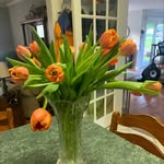 Jan Chambers - @jan.chambers.101 - Instagram