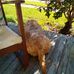 Jan Chambers - Facebook
