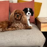 Jan Cheney - @pumpkin_and_panda - Instagram