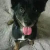 Jane Cheney - @jane.cheney - TikTok