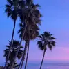 Janella Colvin - @janella.colvin - TikTok