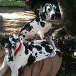 Jan Dahl Compton Bethune - @janbethune - Instagram