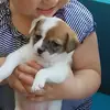 janiecompton - @janie.compton - TikTok