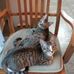 Jan Corbin - Facebook