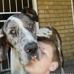 JancoReynders - @jancoreynders8 - Instagram