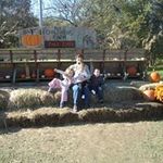 Jan Cotter - @cotterjan - Instagram