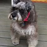 Jan Coyle - @jan.coyle.984 - Instagram