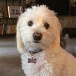 Jan Crane - @grammie118 - Instagram