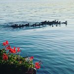 @jancrane - Instagram