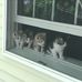 Jan Criswell - Facebook