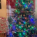 Sarah Jane Criswell - @sarahjanecriswell - Instagram