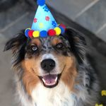 Sara Jane Crouse - @sarajanecrouse - Instagram