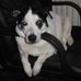 Jan Crowley - Facebook