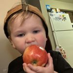 Jan Crowley - @jancrow4 - Instagram