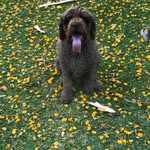 Jane Crump - @janemcrump - Instagram