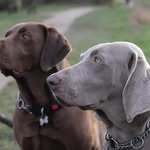 Jan Cullen - @jan.cullen - Instagram