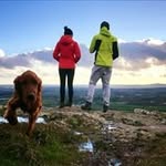 Jan Cullen - @jancullen2 - Instagram