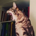 Jane Curley - @janiac54 - Instagram
