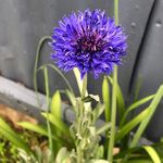 Jan Currie - @jan_currie - Instagram