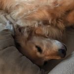 Jan Currie - @jancurrie1947 - Instagram