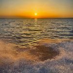 Jan Peterson Currie - @curriejan4 - Instagram