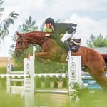 Jan Dąbrowski - @jd_showjumper - Instagram