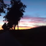 Jan Daniels - @jan.daniels.1272 - Instagram
