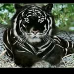 Jan Daniels - @jan.daniels.77964 - Instagram