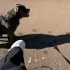 Jane Daniels - @jane.daniels59 - TikTok