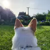 jan_danielson - @jan_danielson - TikTok