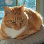 Jan Darby - @jaydee_1956 - Instagram