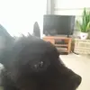 jandarby1 - @jandarby1 - TikTok