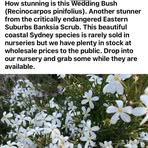 Jane Darby - Facebook