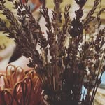 Darrell - @jan.darrell.ong - Instagram