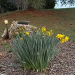 Jan Daugherty Copeland - @jandcopeland - Instagram